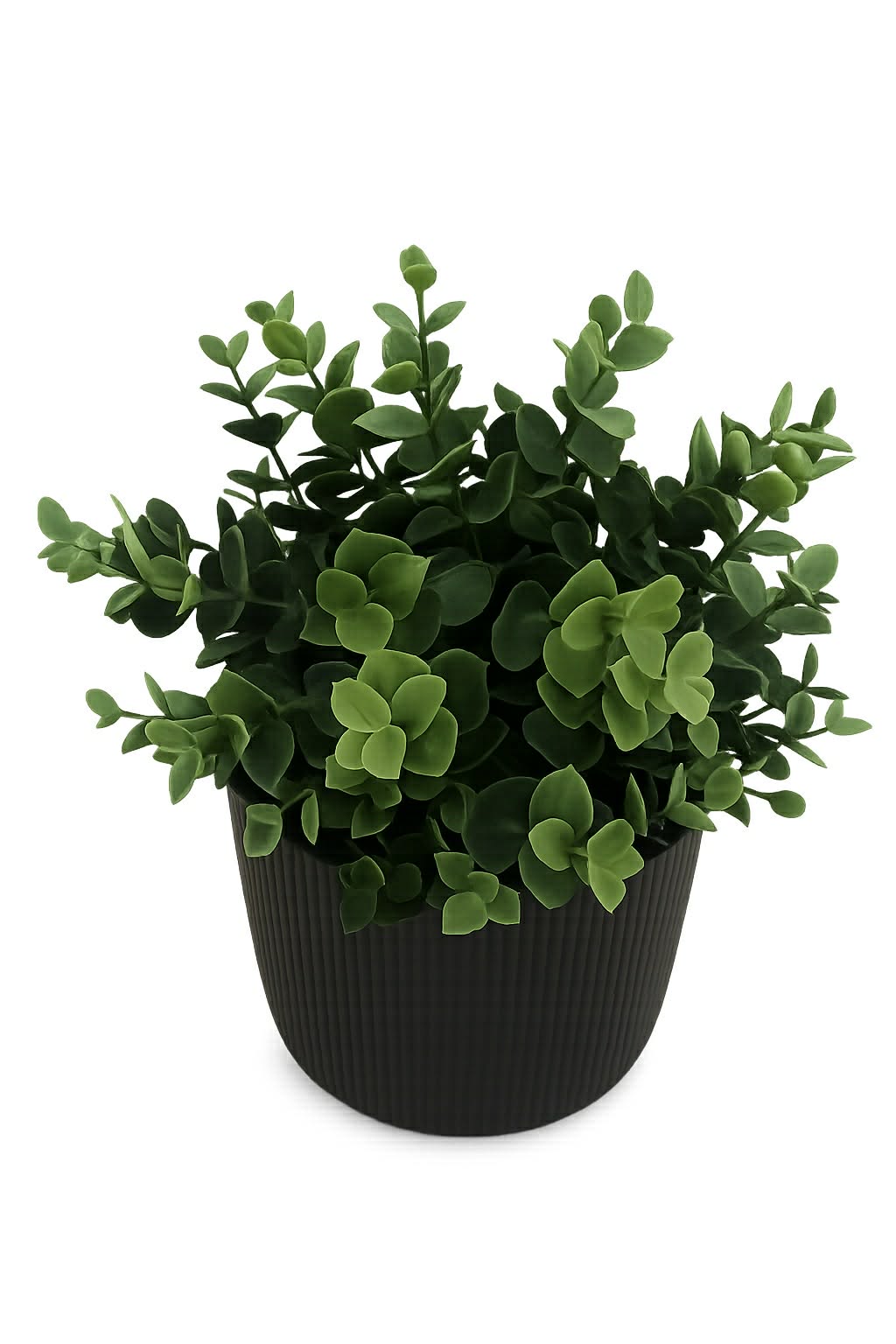 Blomma i premium Kruka